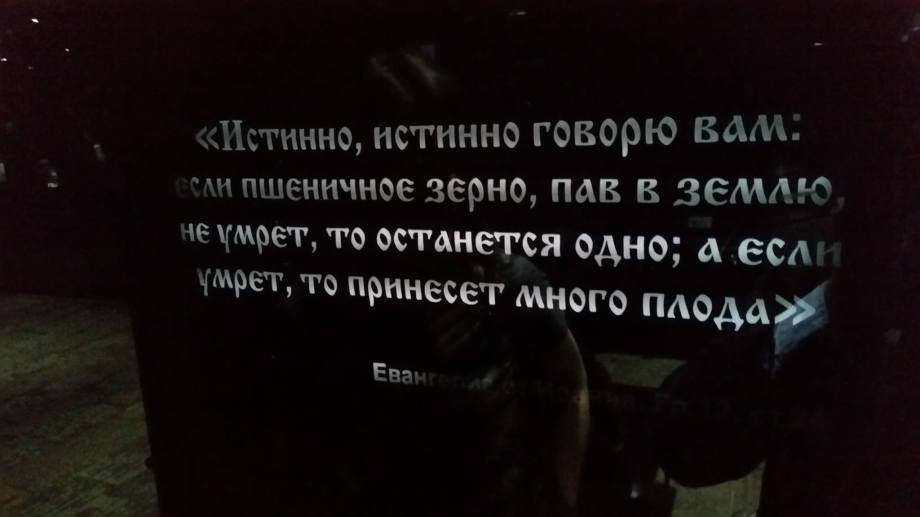 13221169_10209646324934689_6928016683417121774_o